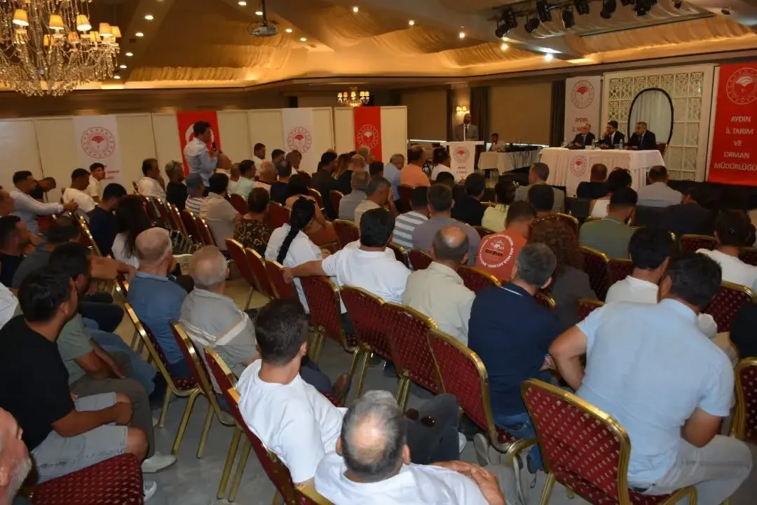 Aydın hayvancılığında büyük dönüşüm: Hastalıktan ari işletmeler 86'ya ulaştı
