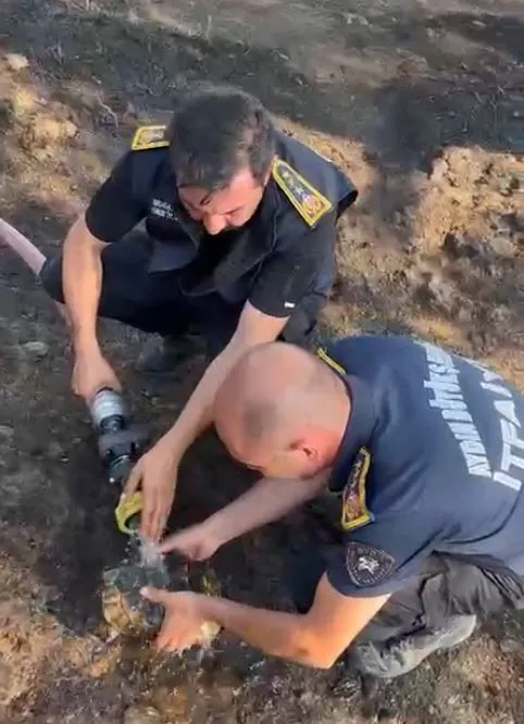 Alevlerin arasından gelen yaşam mücadelesi: İtfaiyeden duygulandıran kurtarma