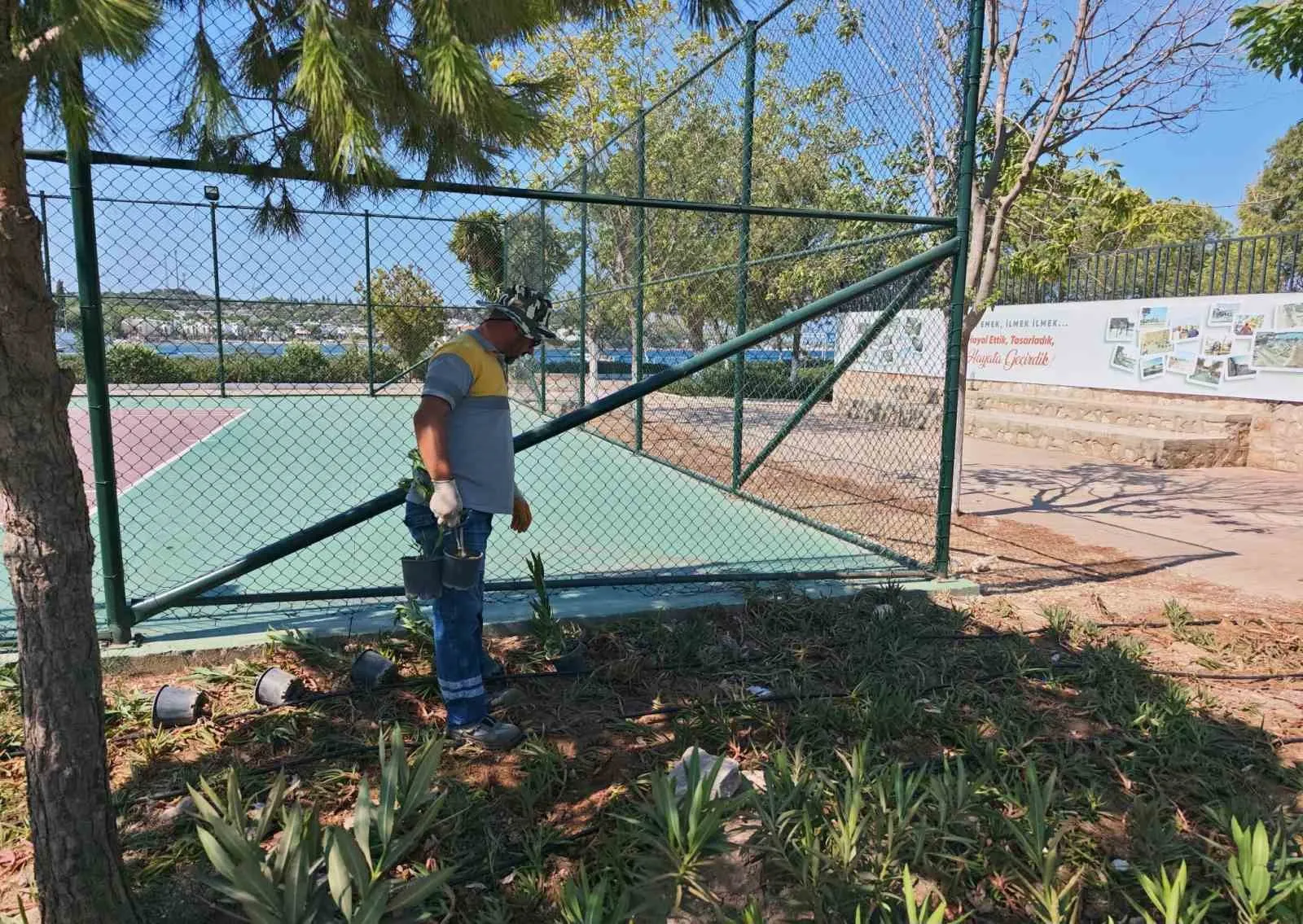 Didim kendi çiçeğini kendi üretiyor: Parklar artık belediyenin fidanlığından yeşeriyor