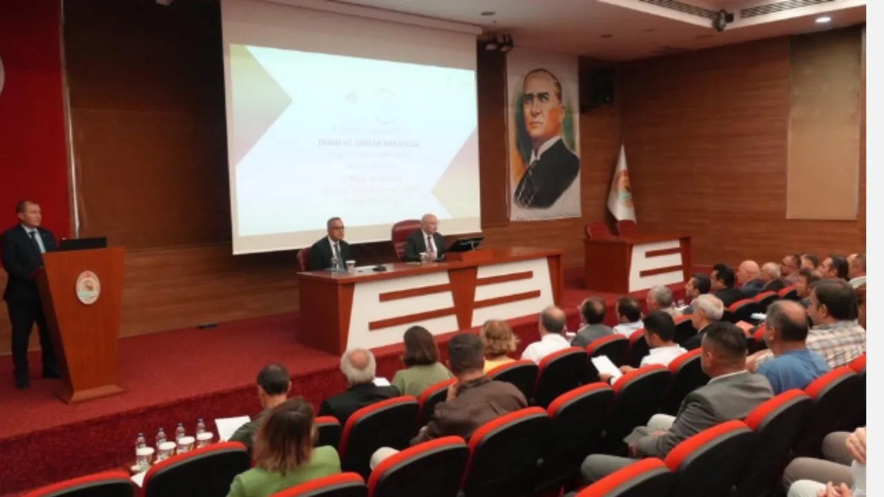 Denizli’de sokak hayvanları için kritik zirve: Ortak akıl dönemi başlıyor