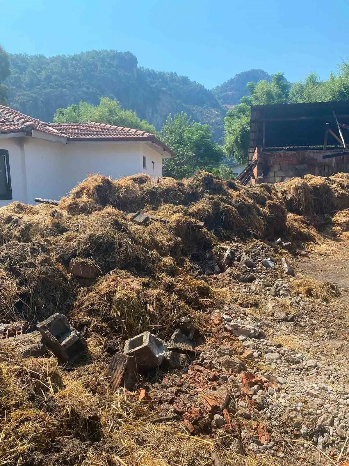 Ortaca’da ahır yangınında 500 balyası kül olan üreticiye Büyükşehir’den dayanışma eli