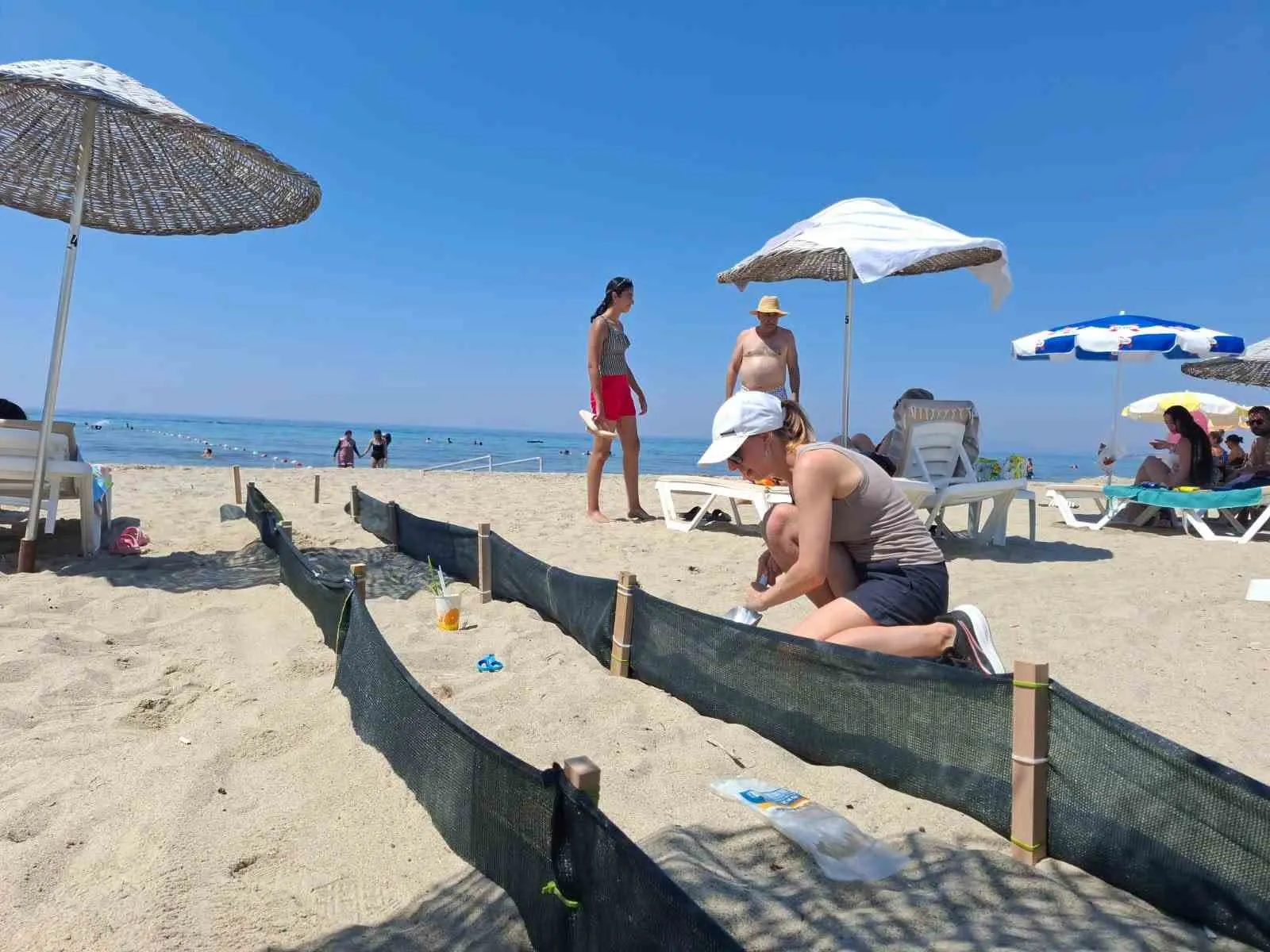 Ege’nin Kumsallarında Yeni Nesil: 504 Caretta Caretta Denizle Buluştu