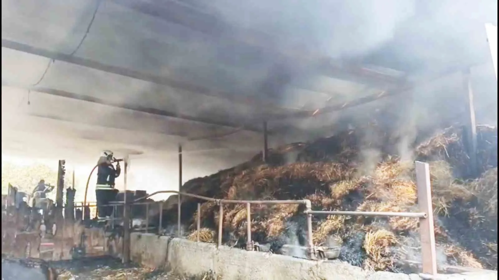 Ula’da geceyi aydınlatan dehşet: Ahır yangınında büyük kayıp