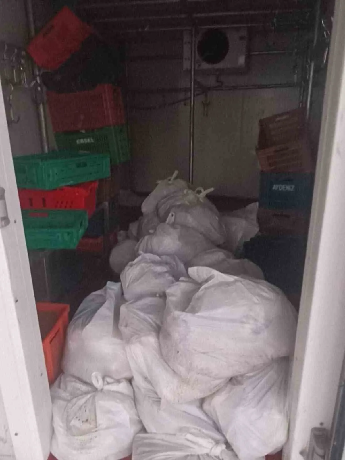 Bodrum’da Koku Şikayeti Depoyu Açığa Çıkardı: Çürümüş Etler Toplanarak İmha Edildi