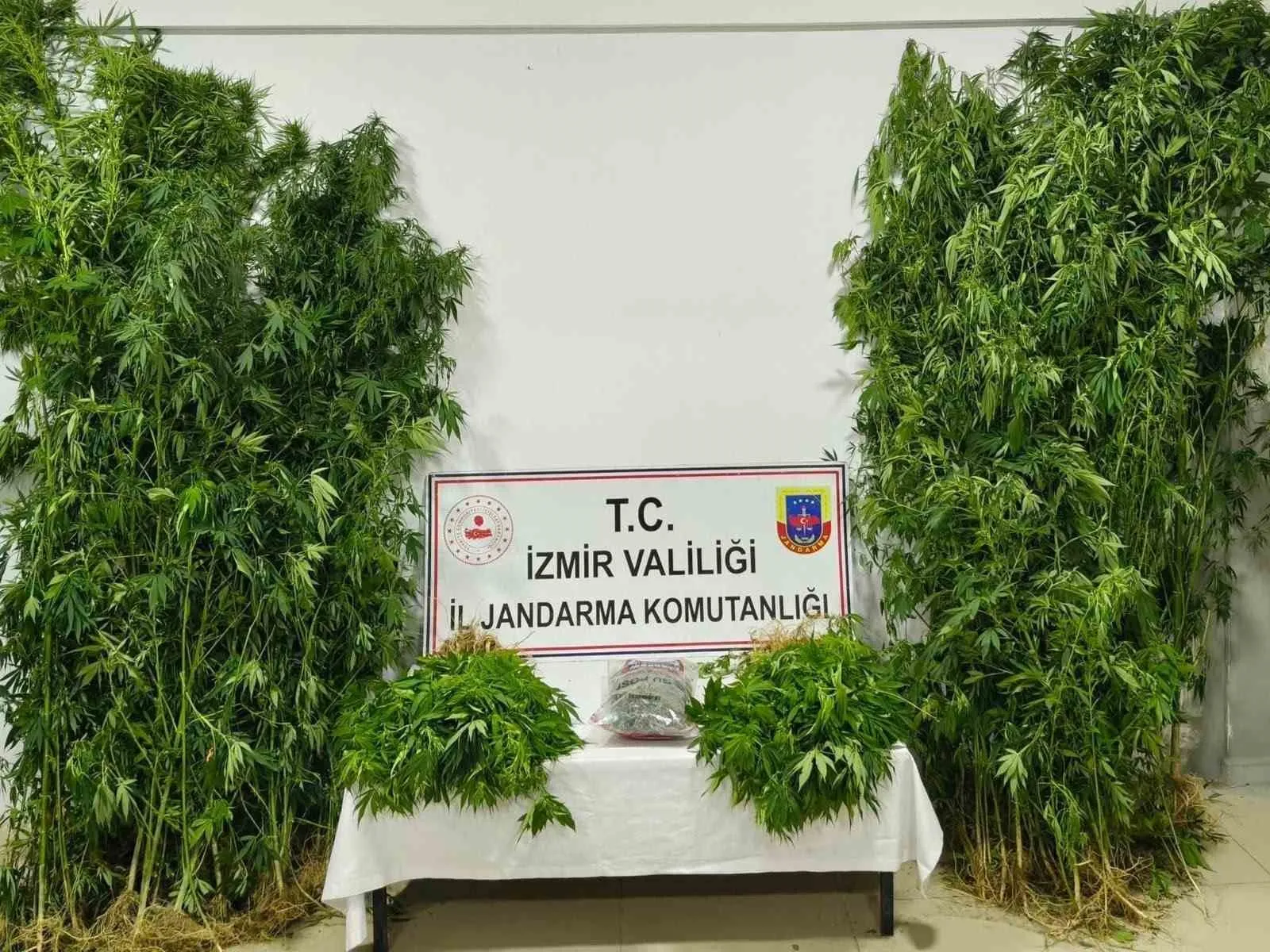 İzmir jandarmasından zehir tacirlerine ağır darbe: 3 kişi cezaevine gönderildi