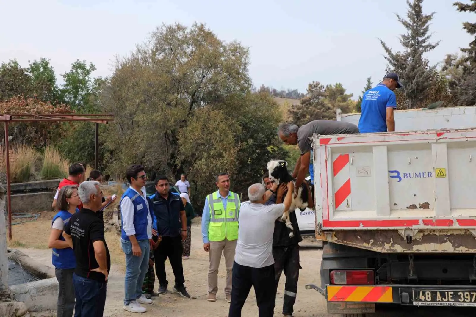 Seydikemer’de küllerin arasından umut yeşerdi: Üreticiye büyük destek