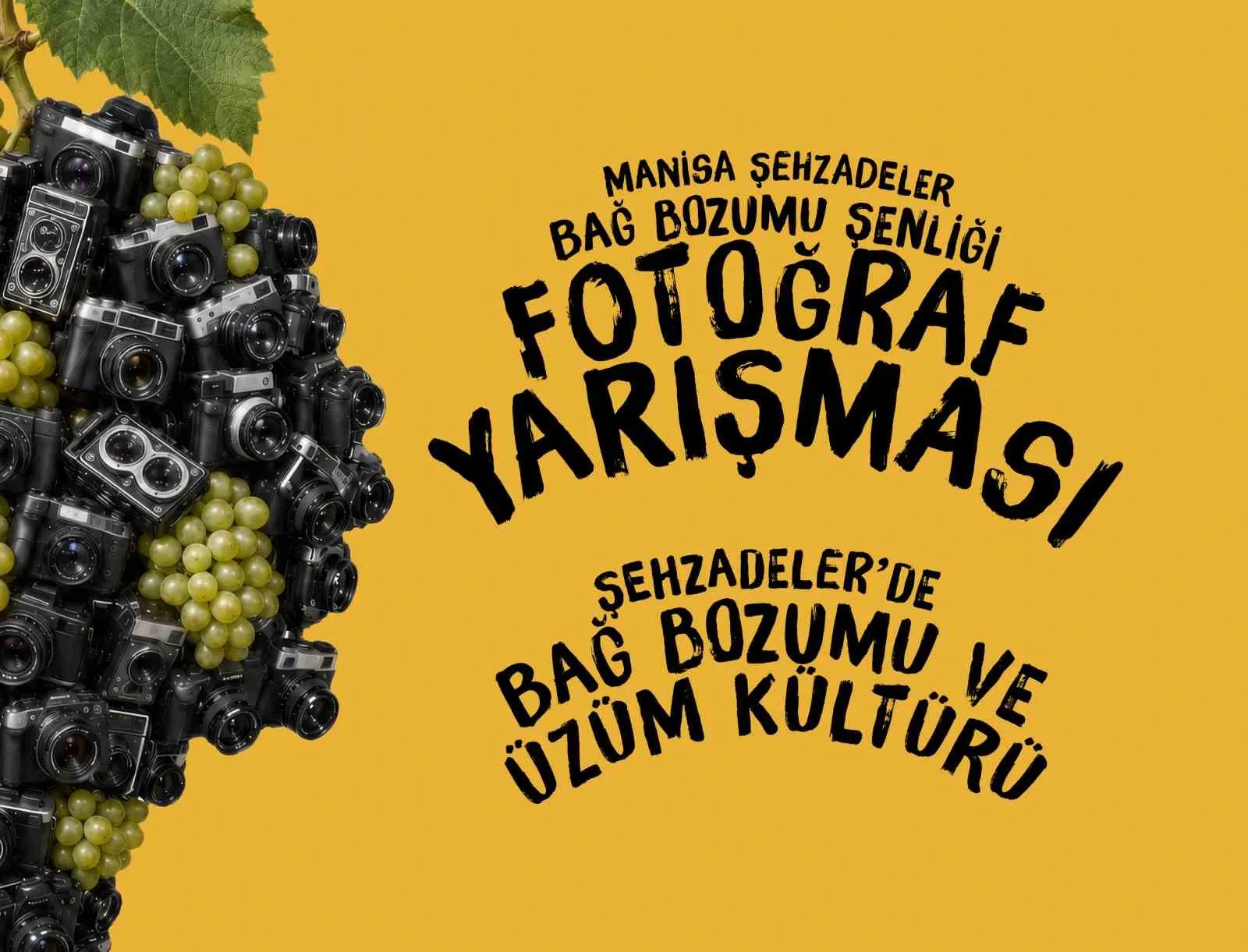 Şehzadeler’in Bağları Fotoğraf Karelerinde Hayat Bulacak: İlk Kez Düzenlenecek Şenlikte Ödüller Sahiplerini Bekliyor