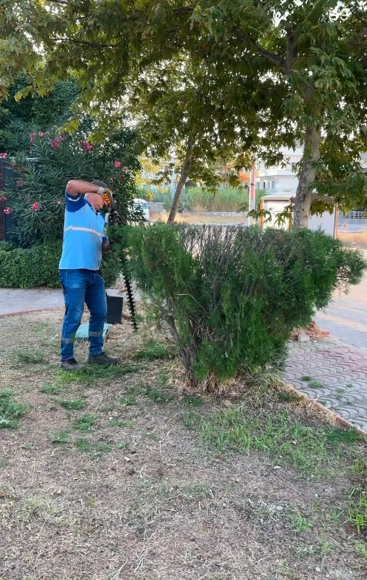 Didim’de estetik dokunuş: Belediye ekipleri sahada seferberlik ilan etti
