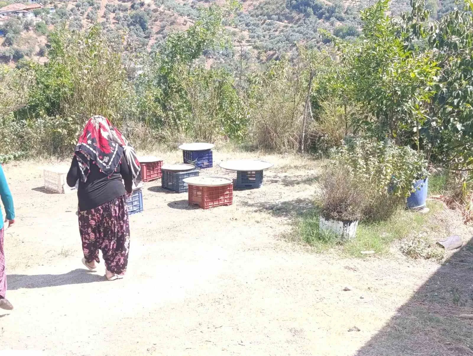 Köşk’te kış hazırlığı mesaisi: İmece usulü tarhana bereketi