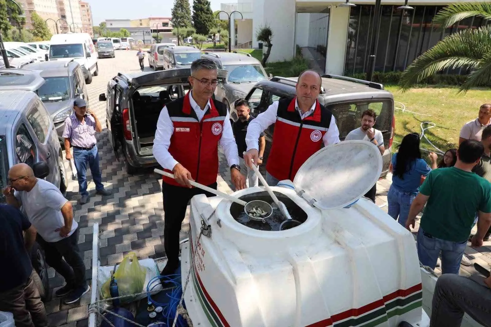Manisa’nın göletlerine devasa takviye: Milyonlarca balık yeni yuvasına kavuştu