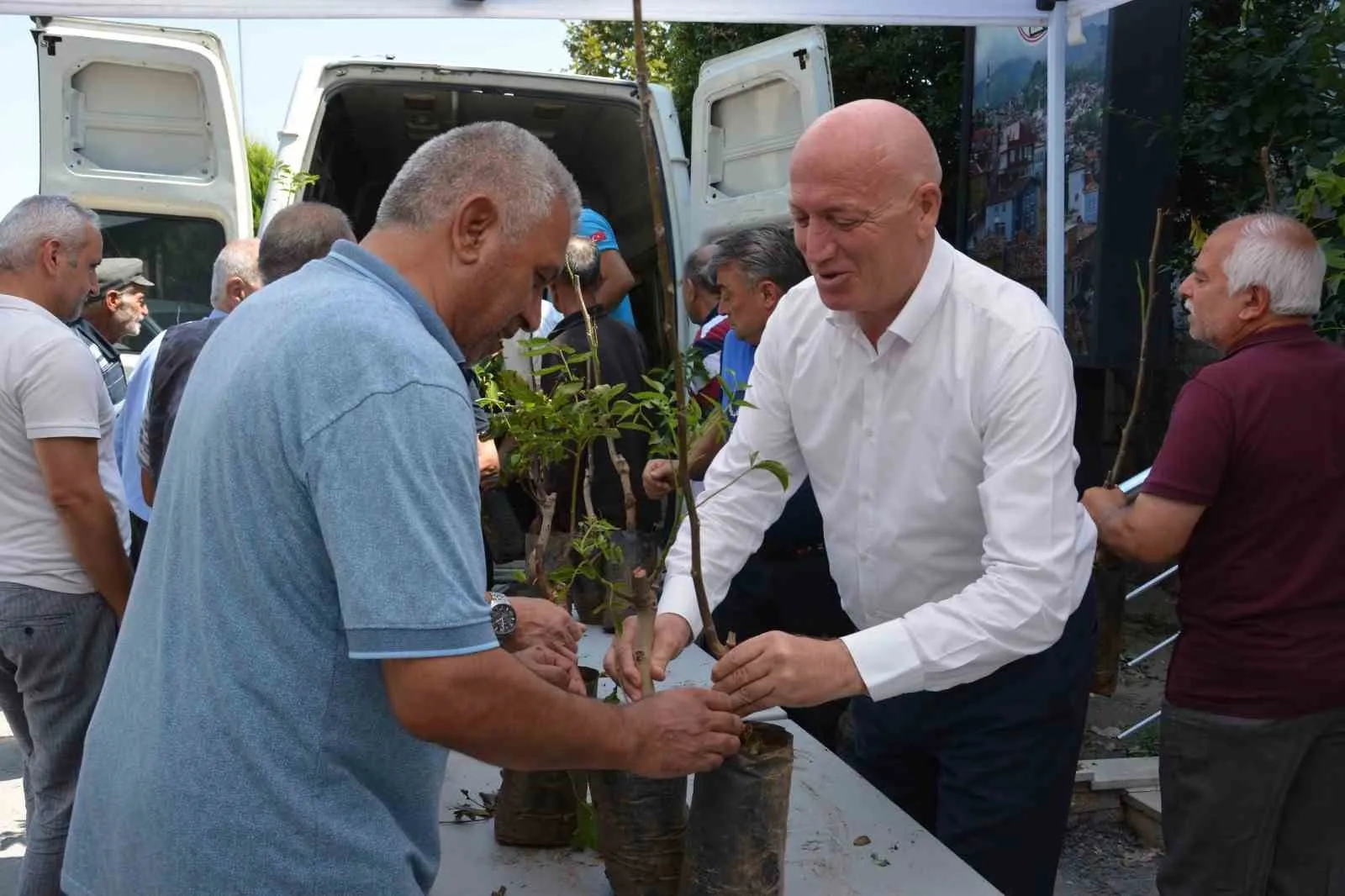 Babadağ'da toprak berekete kavuşuyor: Belediyeden üreticiye dev fidan desteği