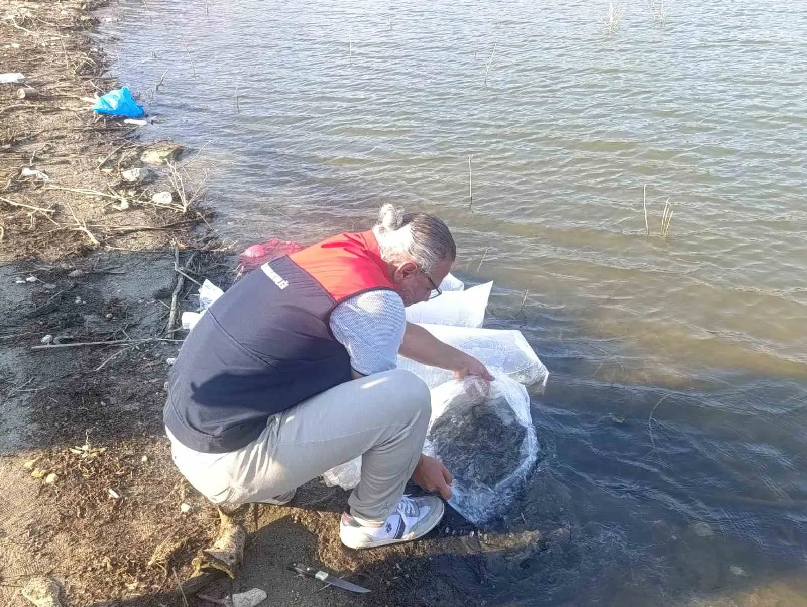 Denizli’nin su kaynaklarına 80 bin yeni misafir: Balık popülasyonu güçlendiriliyor