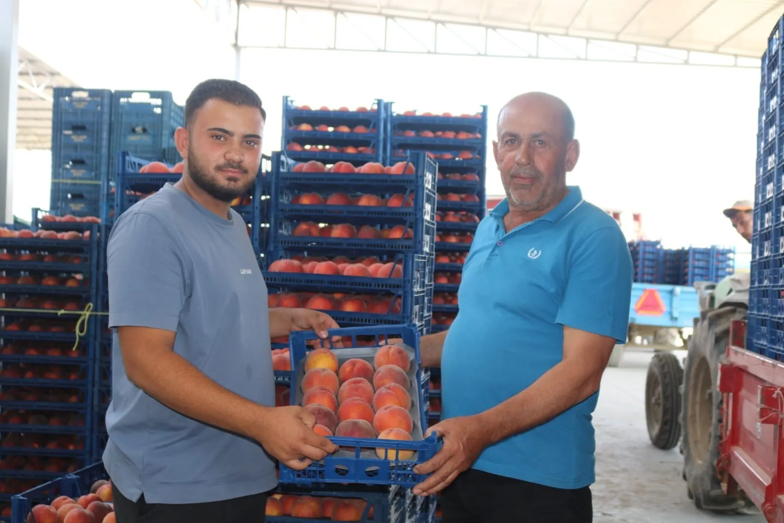 Çivril’de şeftali üreticisi şokta: Bir gecede fiyatlar yarıya indi