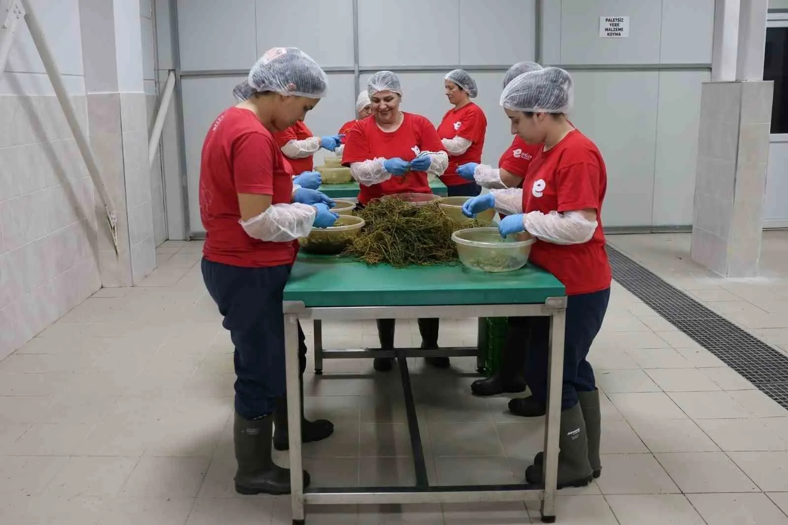 Efeler’in Üretim Ağı Büyüyor: Kadın Eliyle Hazırlanan Lezzetler Dünya Mutfağında