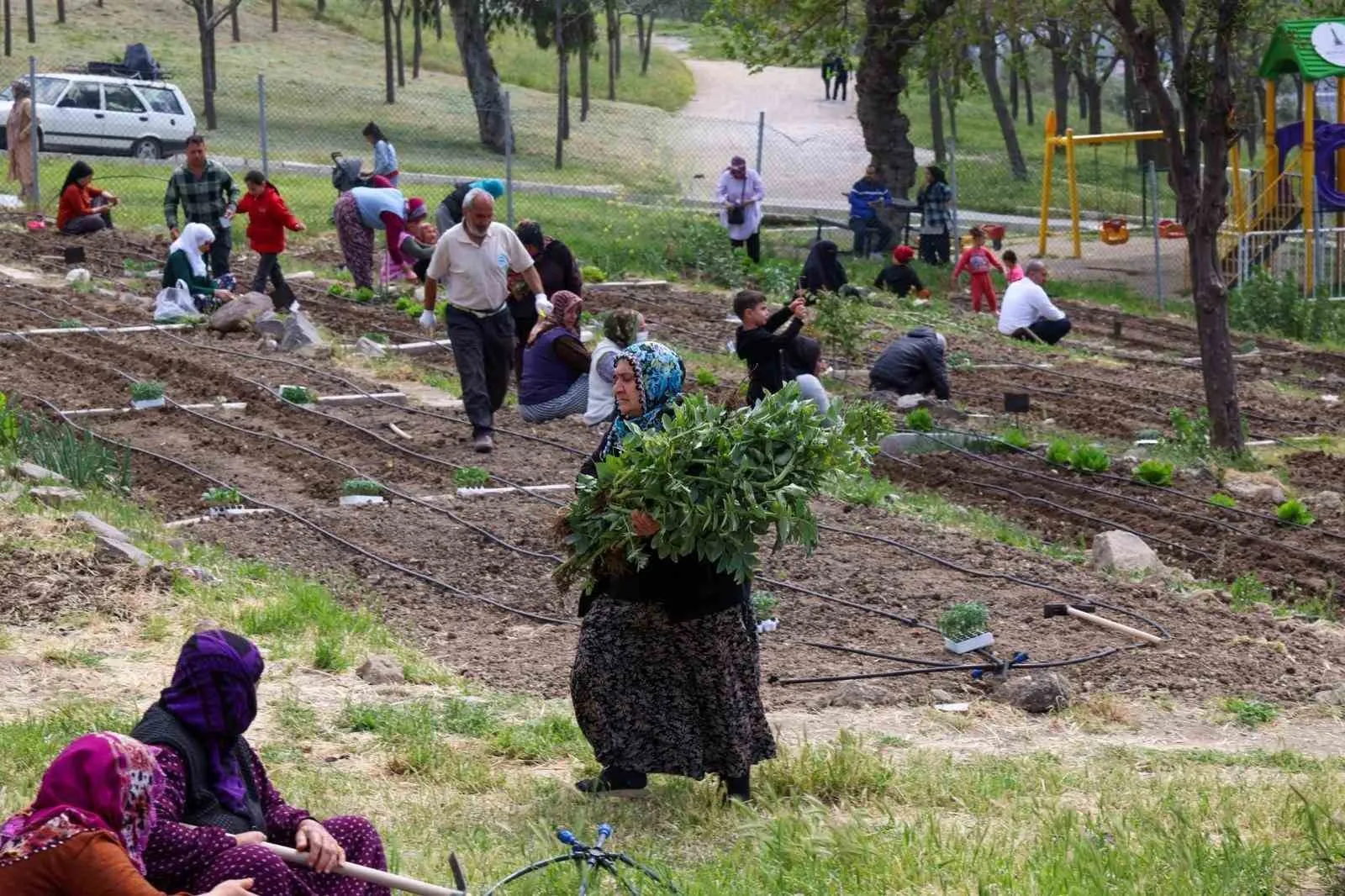 Beton binaların arasında yeşil mucize: İzmirli kadınlar toprağı berekete dönüştürüyor