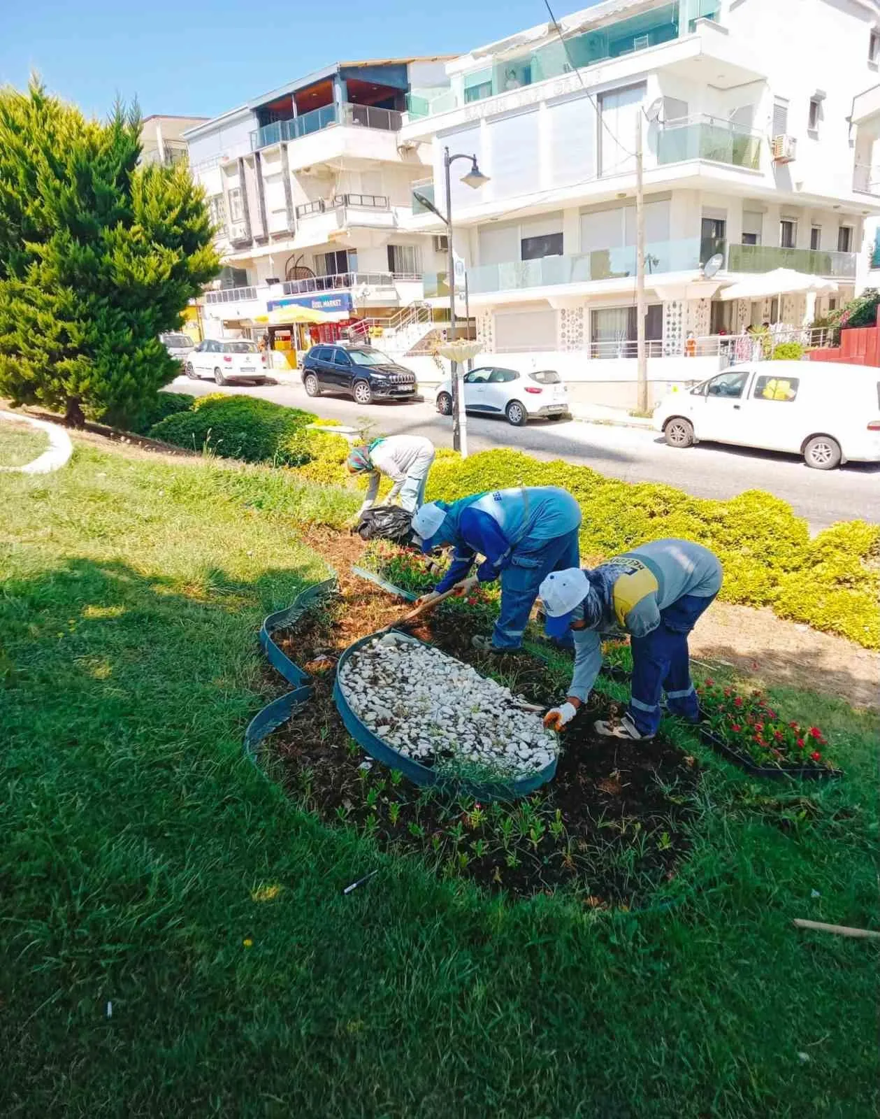 Didim kendi çiçeğini kendi yetiştiriyor: Dışa bağımlılık bitti, parklar güzelleşti