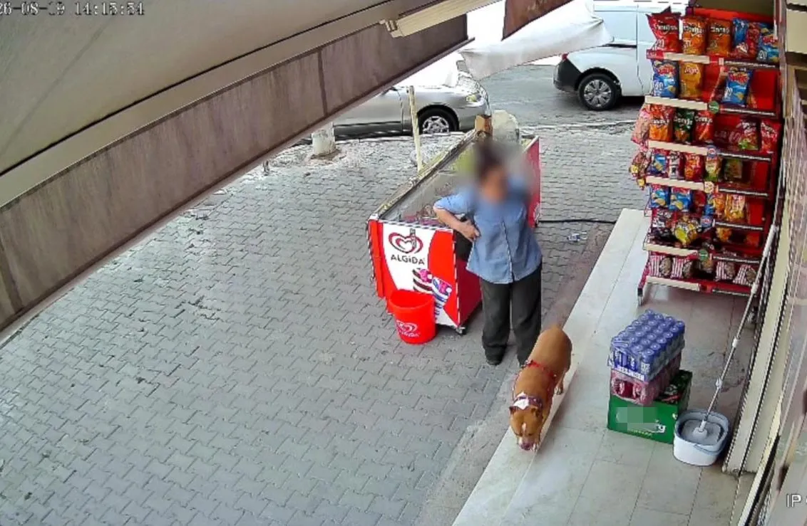 Karşıyaka'da Dehşet: Pitbull'un Saldırdığı 5 Çocuk Annnesinin Parmağı Koptu