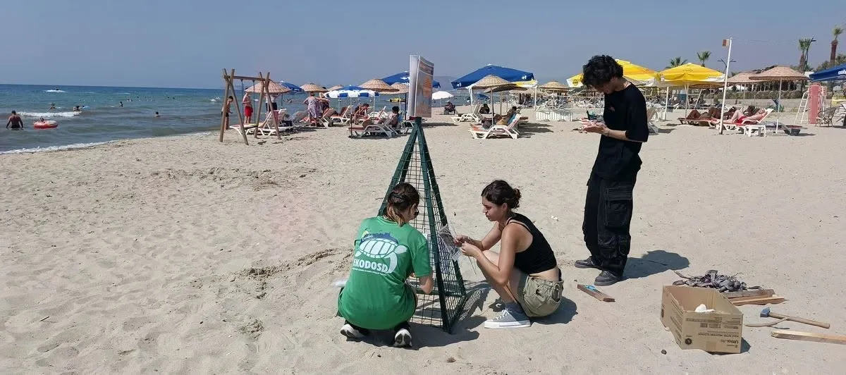 Kuşadası sahilinde zamana karşı yarış: 68 Caretta caretta yumurtası kurtarıldı