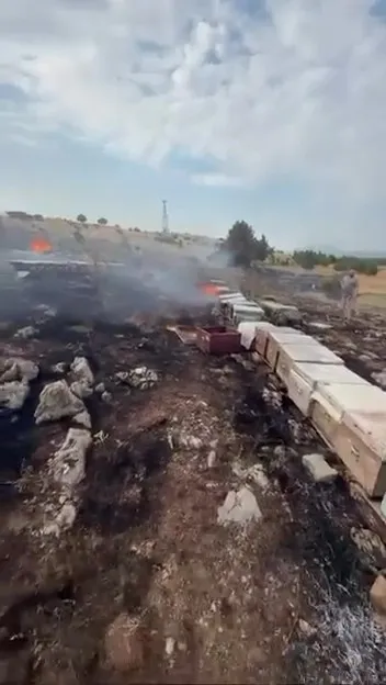 Denizli'de arıcıları yasa boğan yangın: Emekler bir anda kül oldu