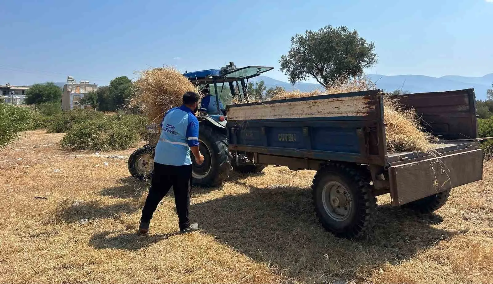 Didim’de estetik dokunuş: Belediye ekipleri dört bir koldan temizlik mesaisinde