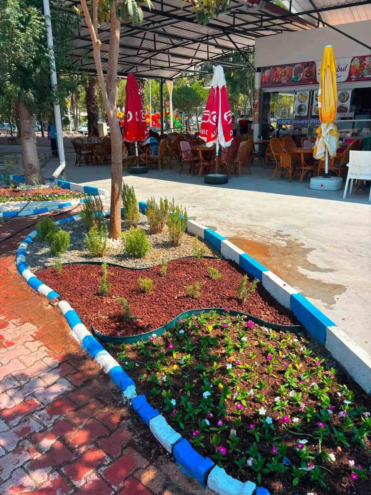 Didim kendi çiçeğini kendi üretiyor: Parklar artık belediyenin fidanlığından yeşeriyor