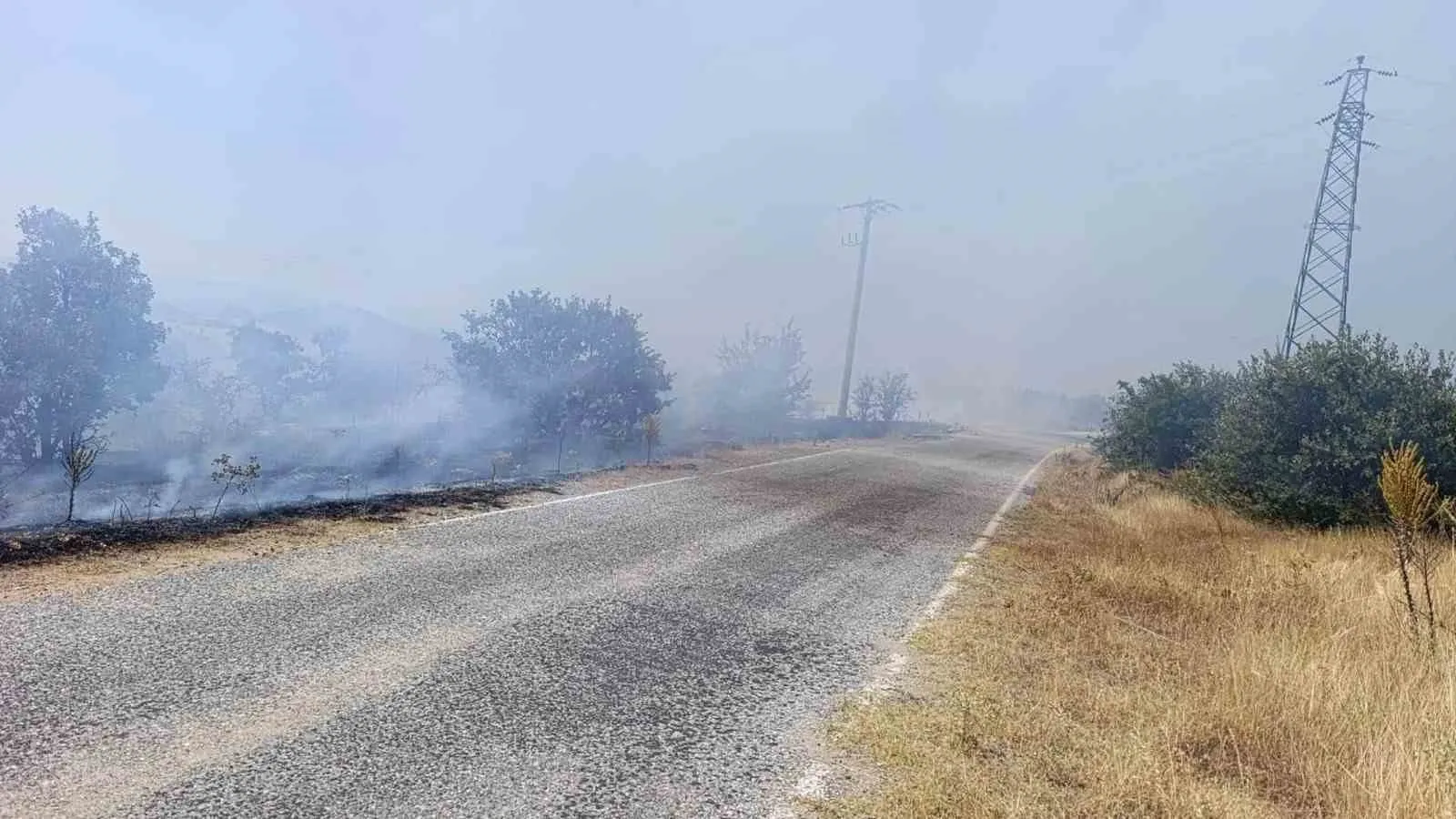 Manisa'da korkutan orman yangını: Ekipler alevlere geçit vermedi