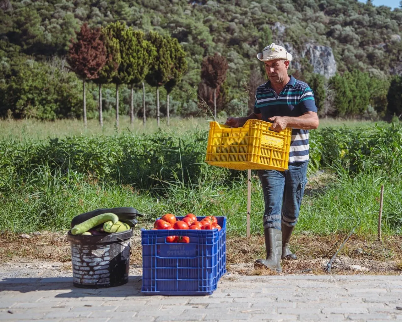 Kuşadası’nda toprak bereketi sofralara uygun fiyatla taşınıyor