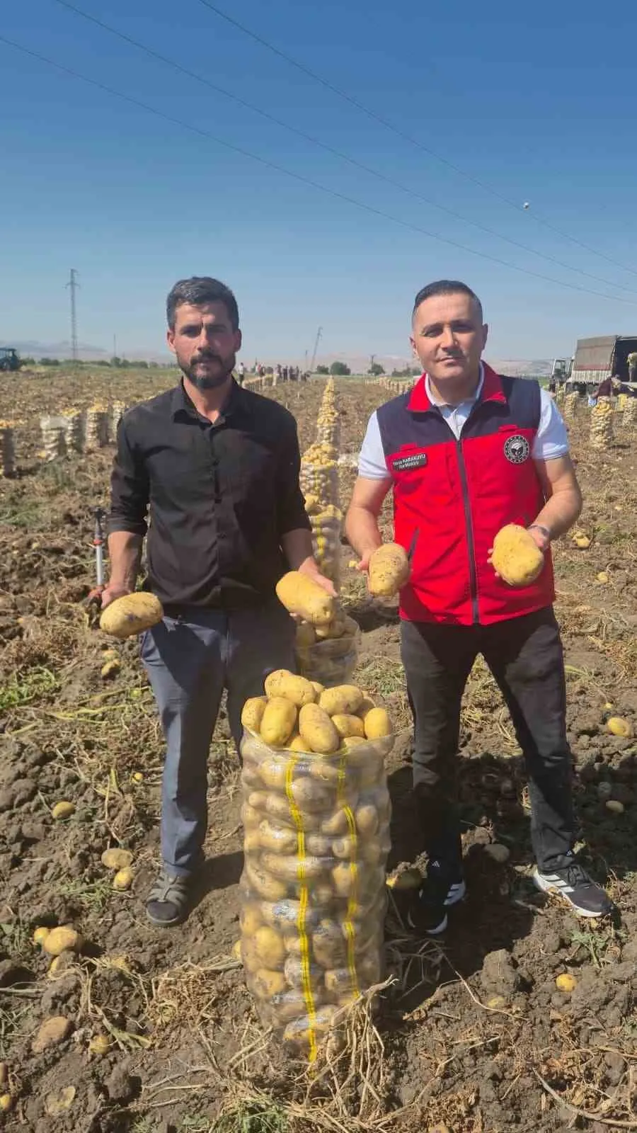 Çölovası’nda bereketli sezon: Patates üreticisi bu yıl derin bir nefes aldı
