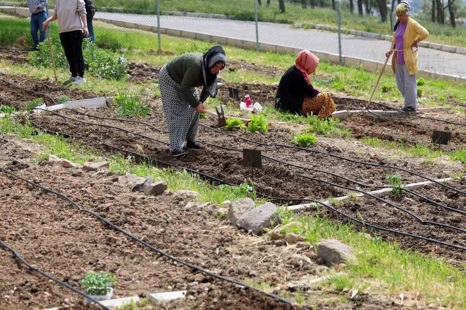 Beton binaların arasında yeşil mucize: İzmirli kadınlar toprağı berekete dönüştürüyor