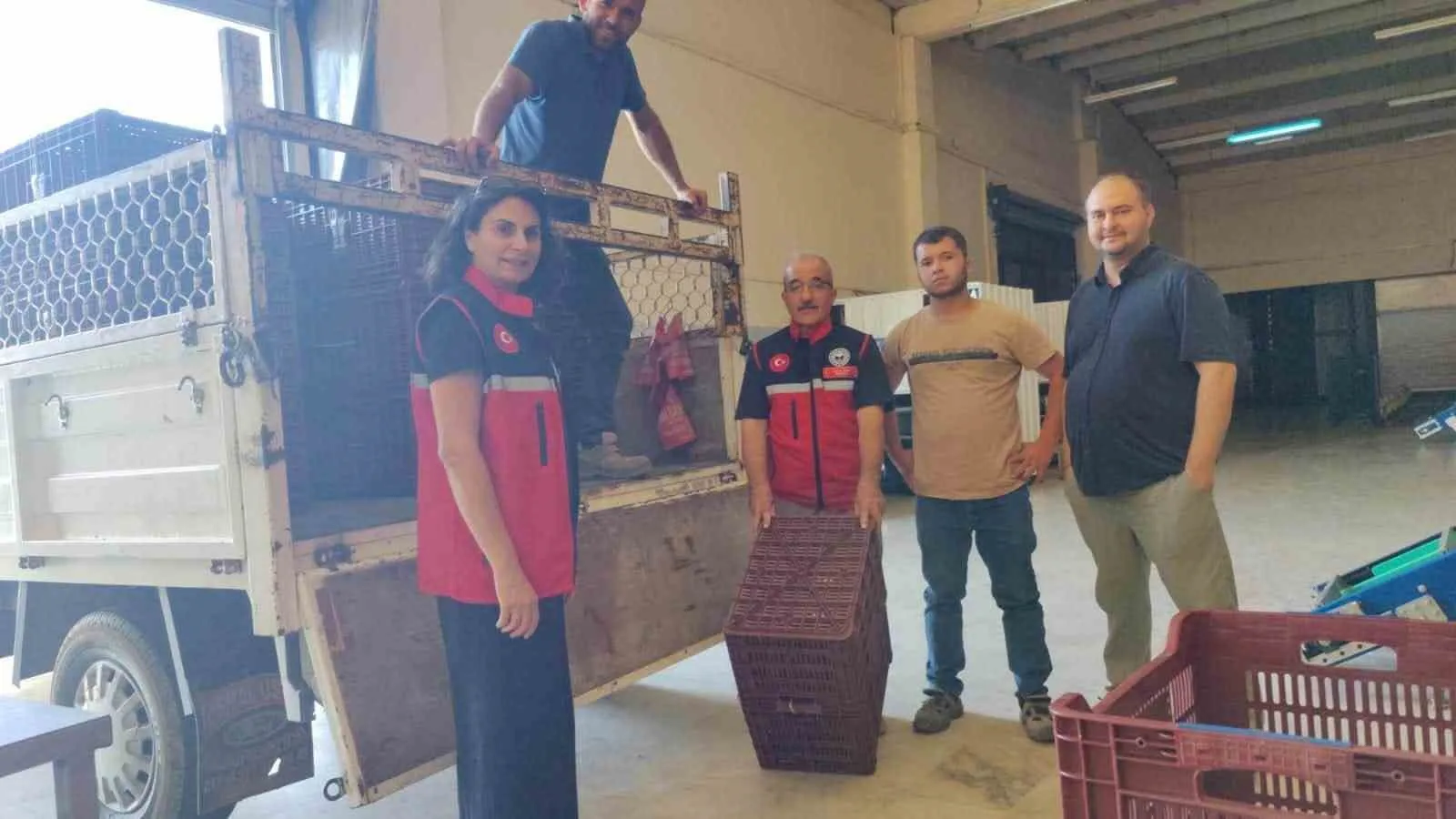 Nazilli’de İncirde Kalite Seferberliği: Üreticilere Yüzde 50 Hibeli Kasa Desteği