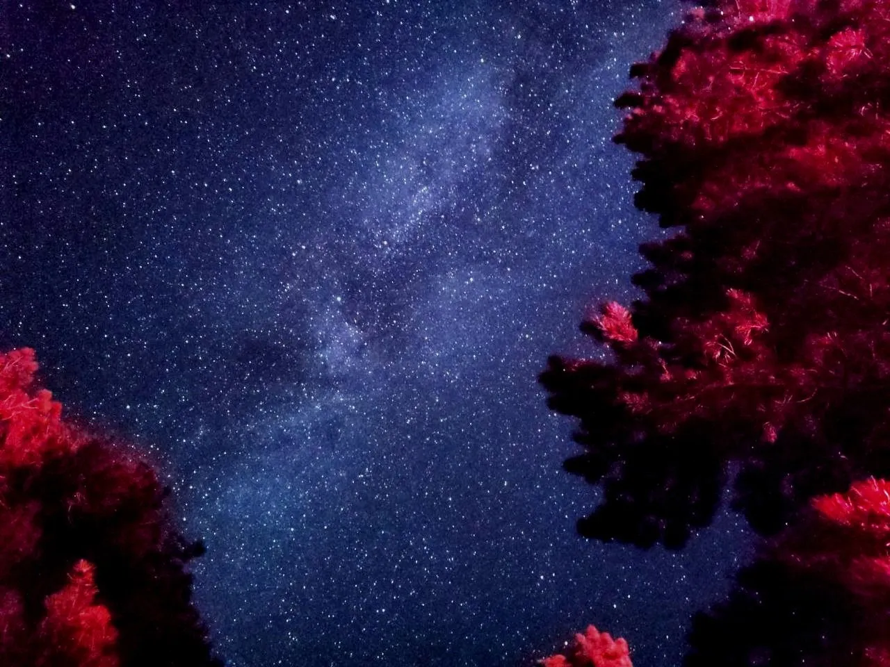 Yıldızların altında bir hafta: Topuklu Yaylası astronomi tutkunlarını ağırladı