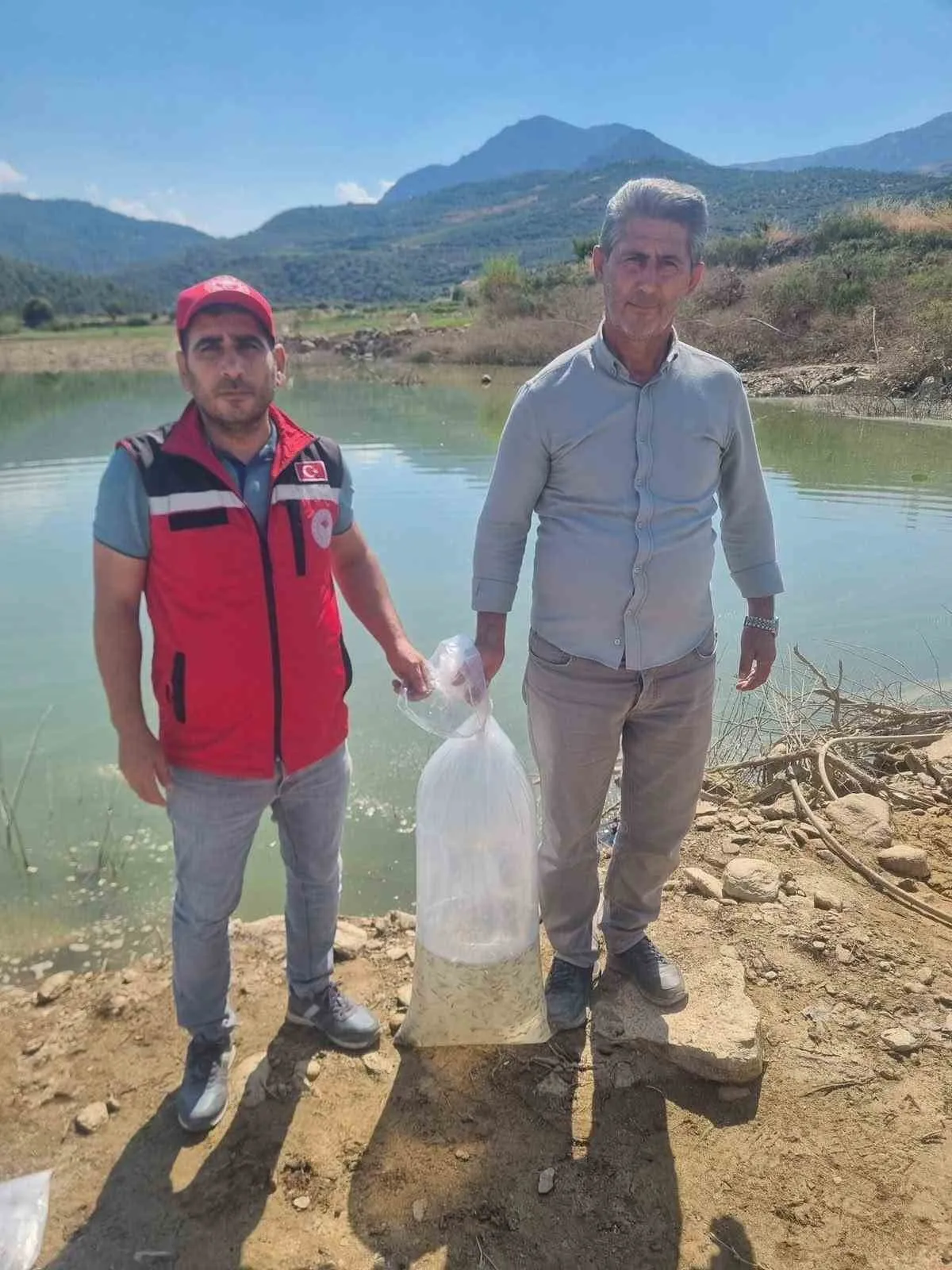 Manisa’nın göletlerine devasa takviye: Milyonlarca balık yeni yuvasına kavuştu