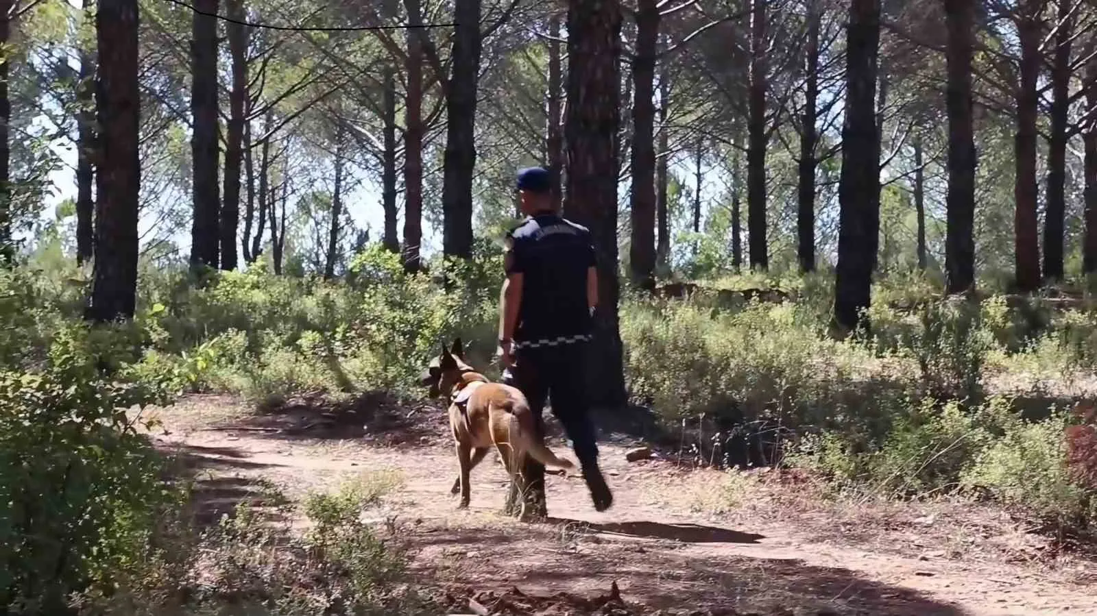 Muğla ormanlarında 7/24 teyakkuz: Yeşil Vatan için kuş uçurtmuyorlar