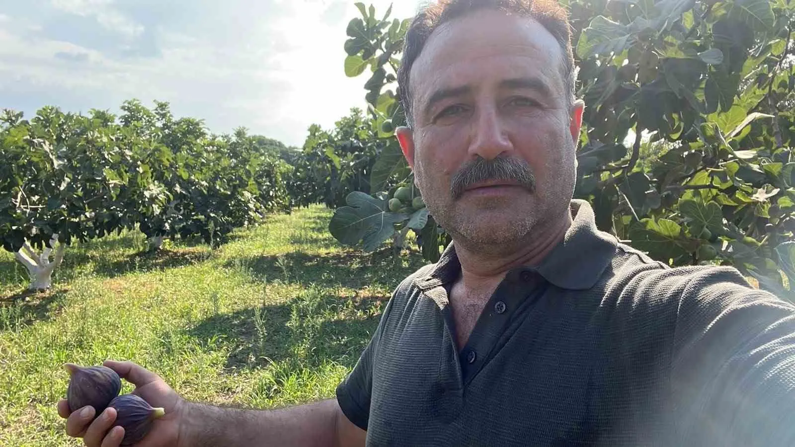 Aydın incirinde haksız rekabet alarmı: Üretici devletten denetim bekliyor