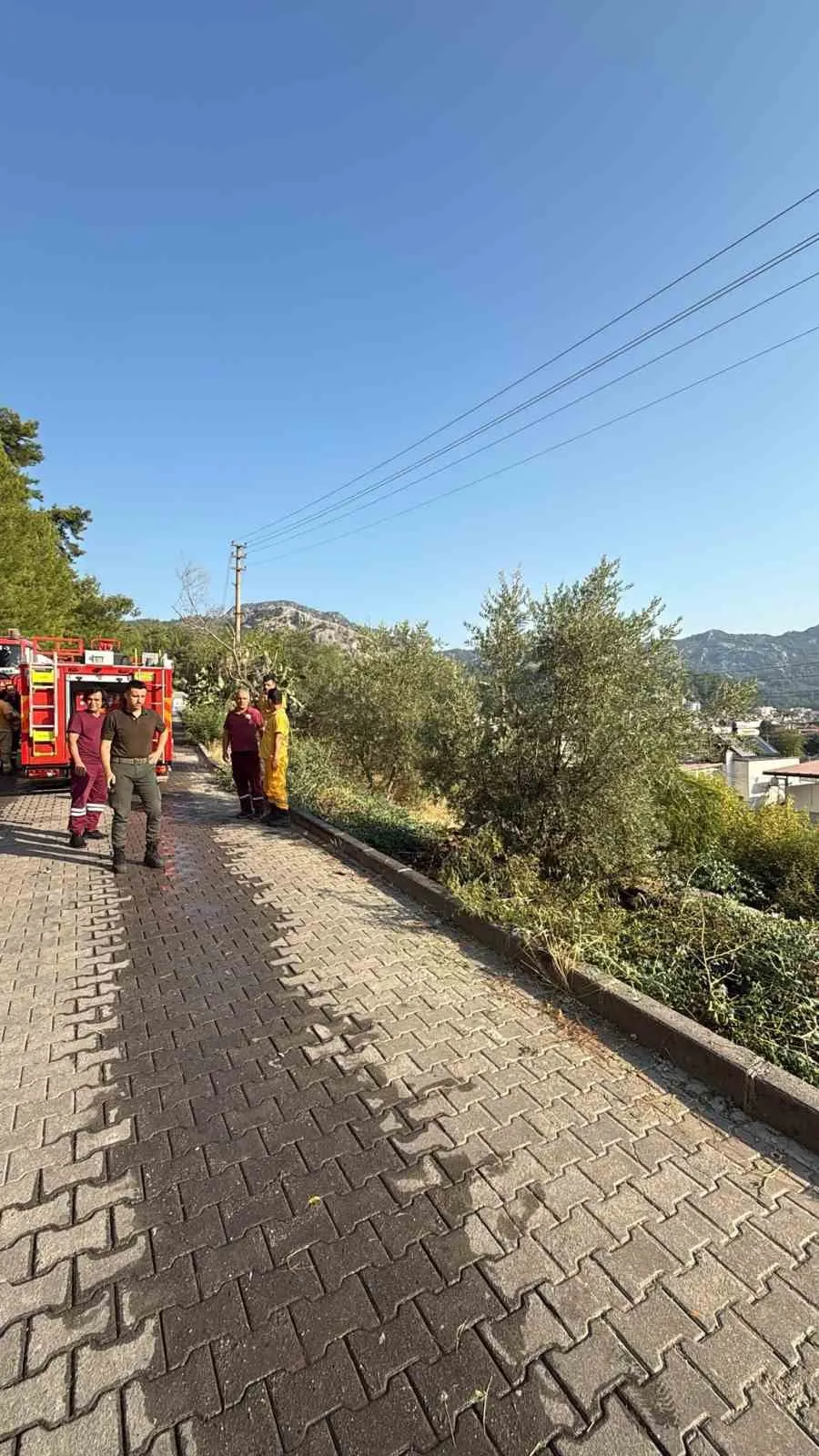 Marmaris'te orman yangınına geçit yok: Şüpheli suçüstü yakalandı