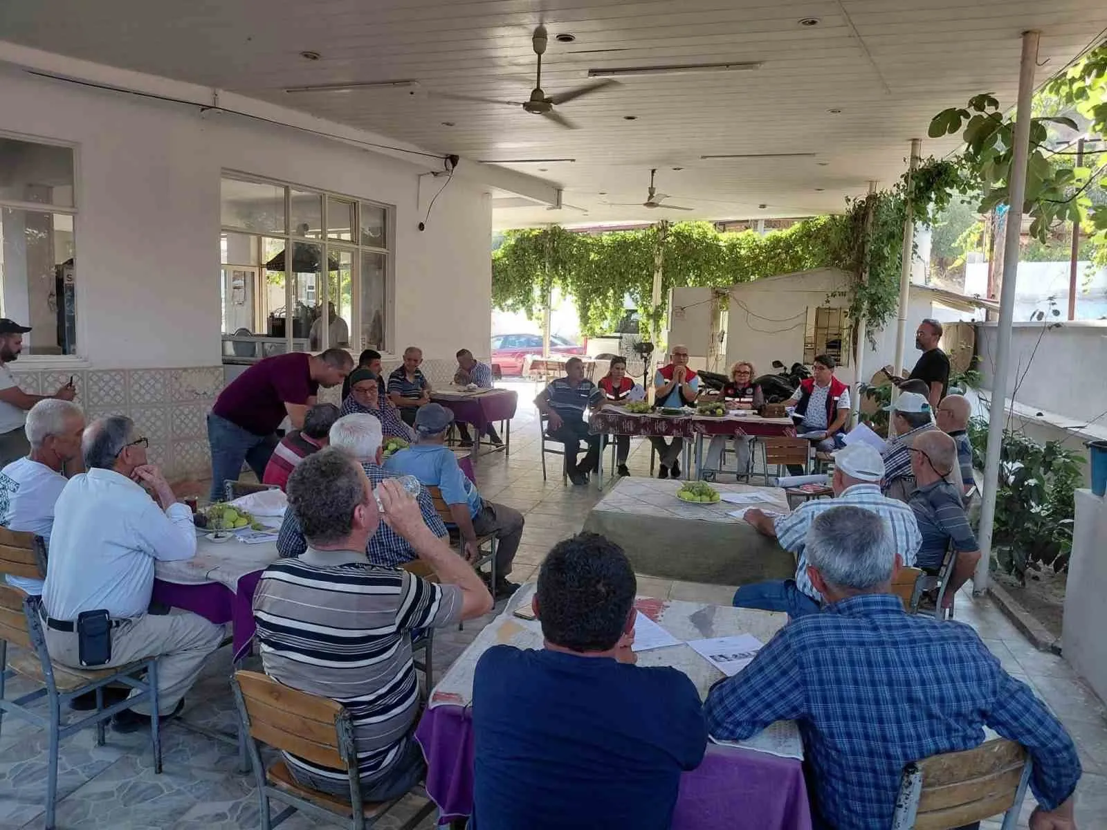 Nazilli incirinde kalite seferberliği: Üreticiye kritik uyarılar yapıldı