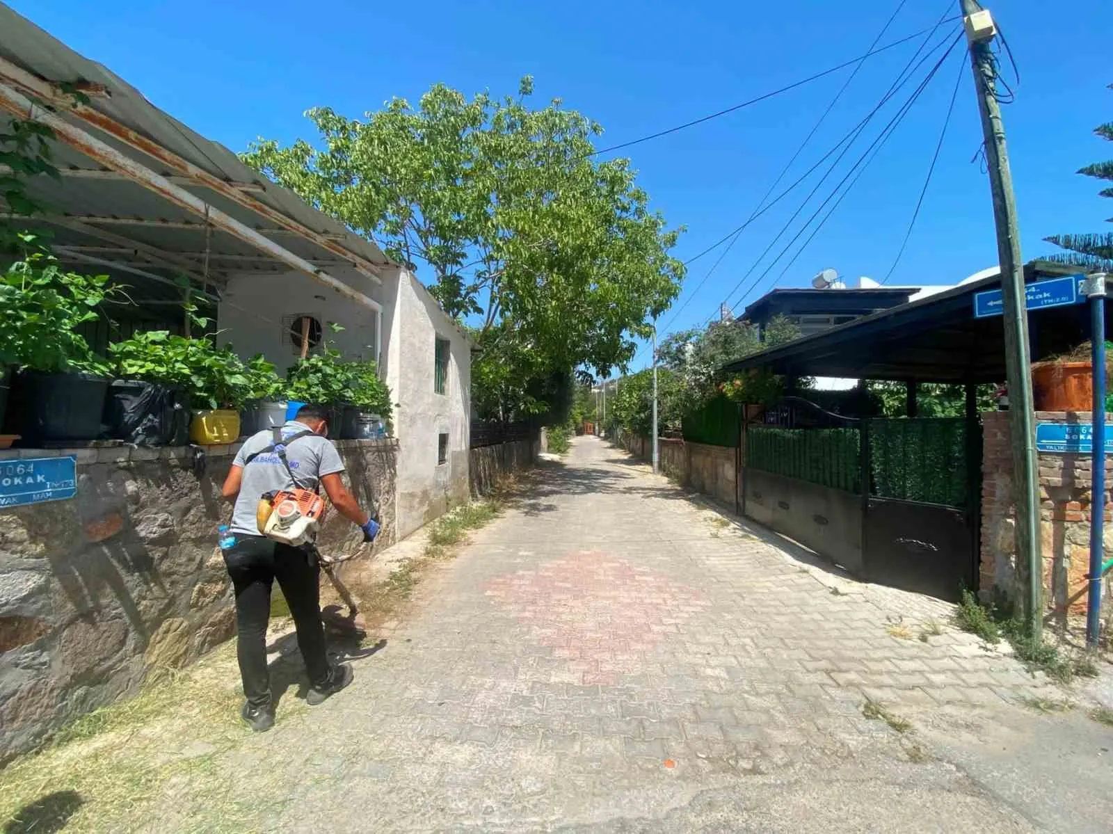 Bodrum'da yaz mesaisi: Yangın riskine karşı dev temizlik operasyonu