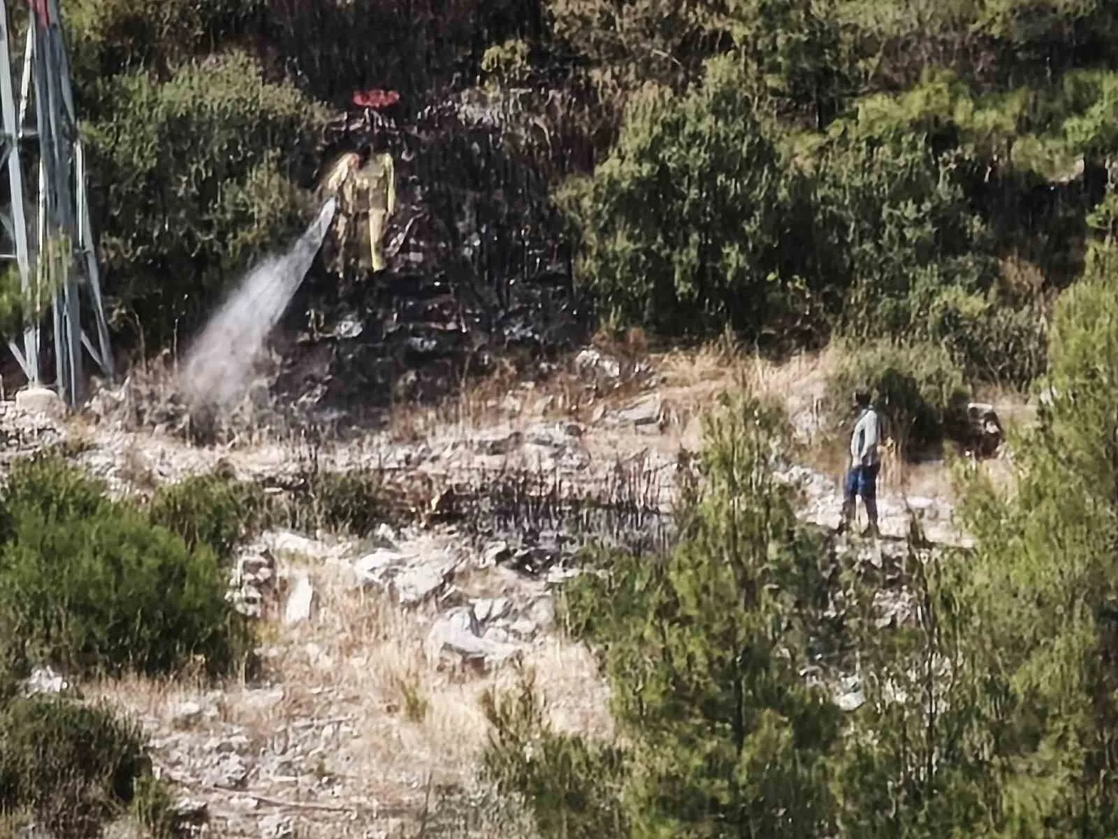Menteşe'de korkutan yangın: Ekipler alevlere geçit vermedi