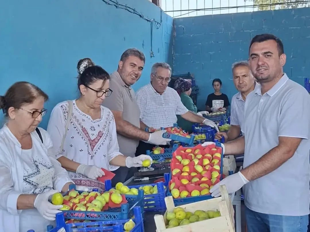 İncirde kaliteyi korumak için seferberlik: Buharkent’te kritik denetim