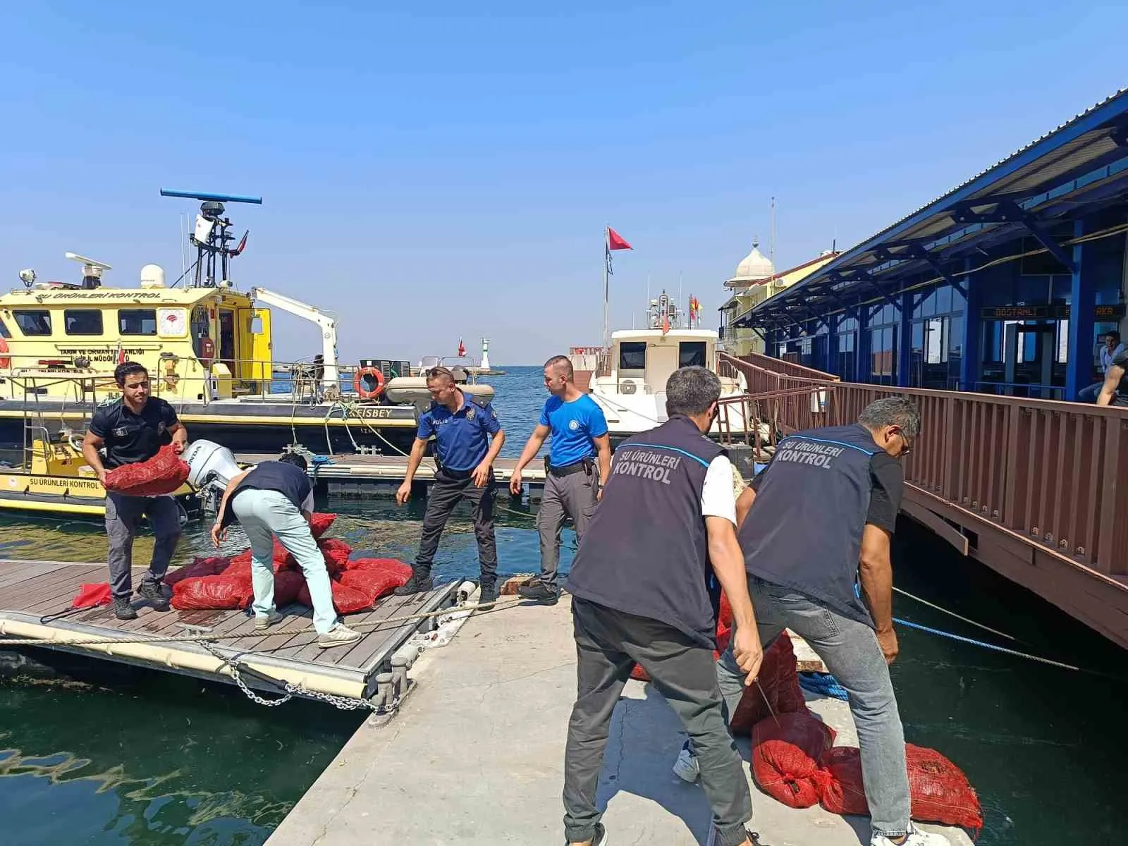 İnciraltı açıklarında kaçak avcılık operasyonu: Tonlarca midye yeniden sulara bırakıldı