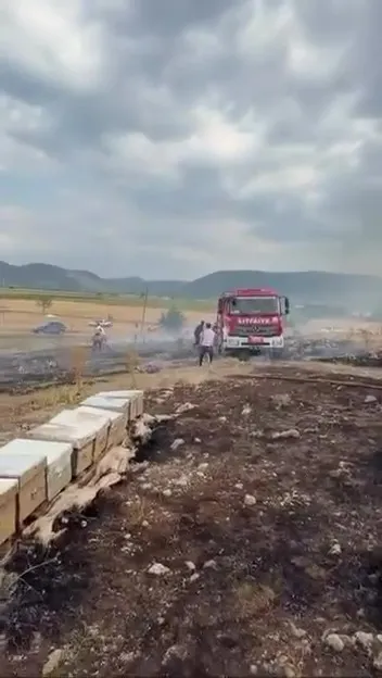 Denizli'de arıcıları yasa boğan yangın: Emekler bir anda kül oldu