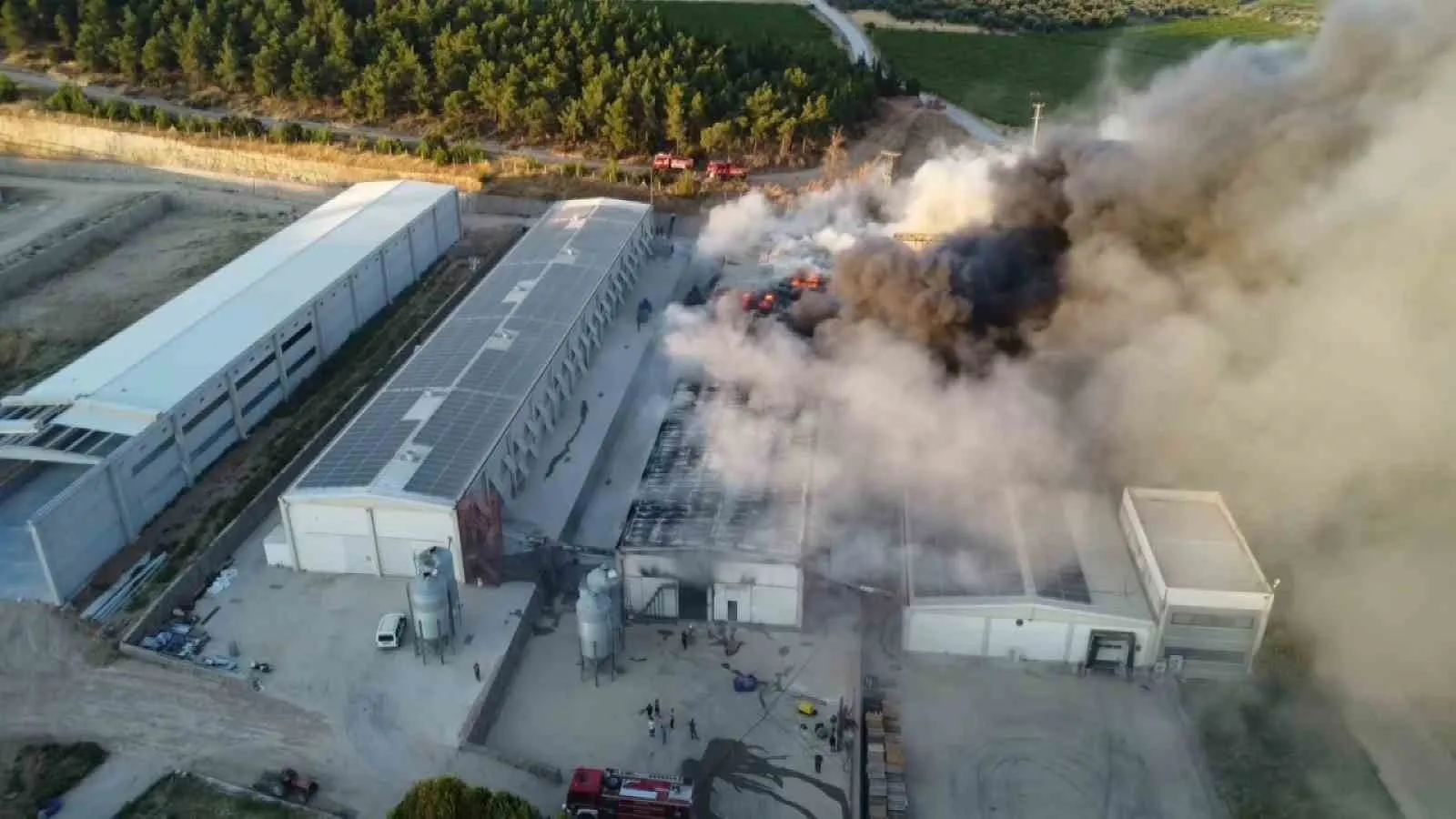 Manisa'da dev tesis alevlere teslim oldu: Milyonluk zarar