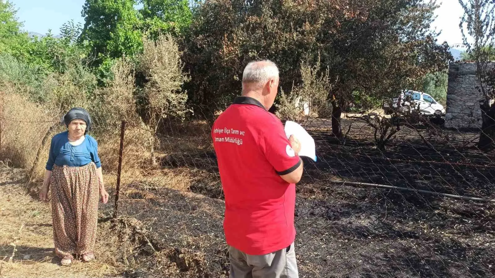 Muğla’da küllerin altındaki yaşam mücadelesi: Üreticinin zararı tek tek kayıt altına alınıyor