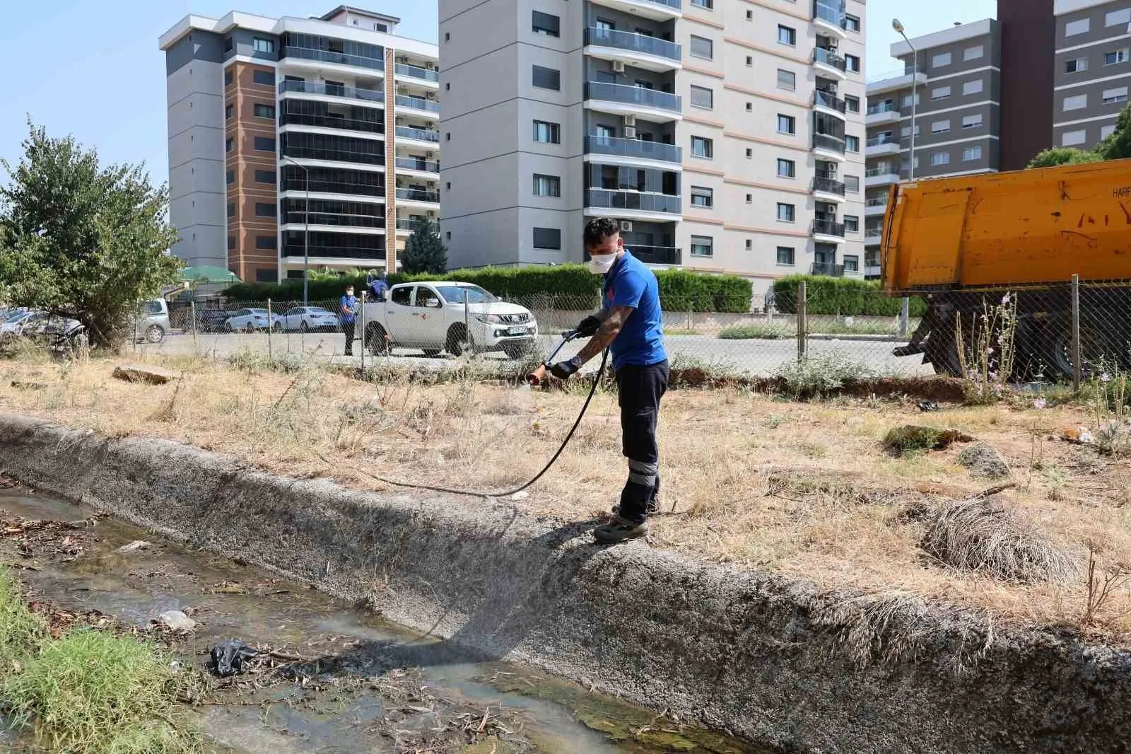 Efeler'de yaz mesaisi: Haşerelere karşı topyekün mücadele