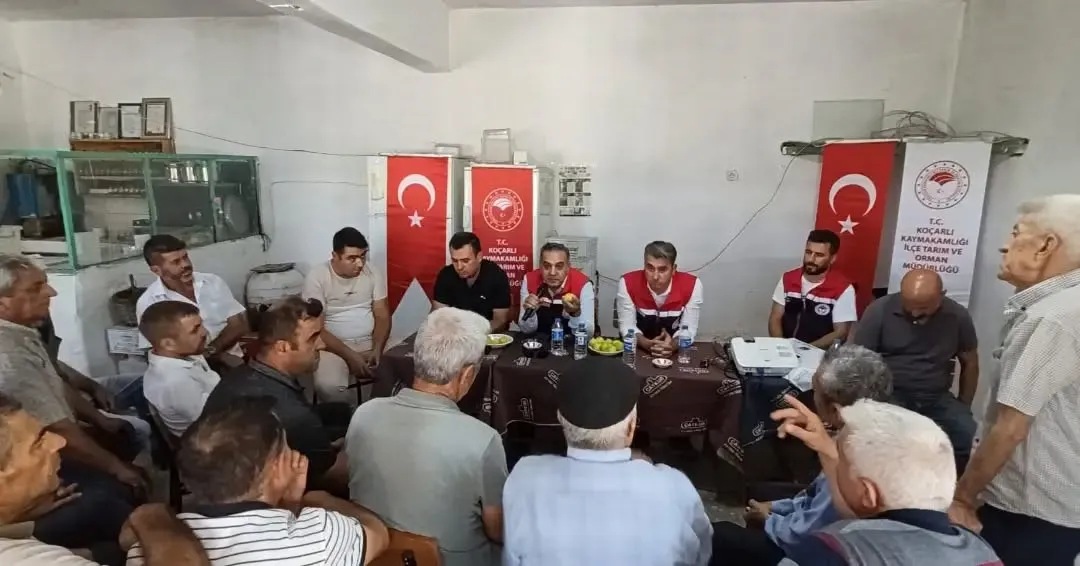 Aydınlı çiftçinin 85 haftalık yol arkadaşlığı: Tarlada çözüm masası kuruldu