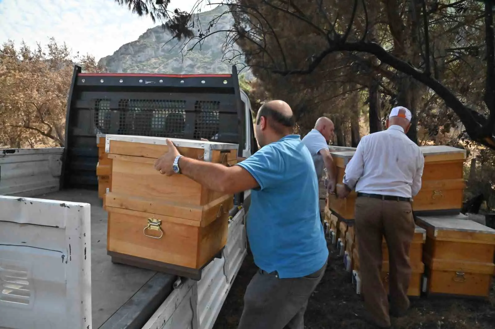 Küllerden doğan üretim: Manisa'da arıcıya belediye eli uzandı