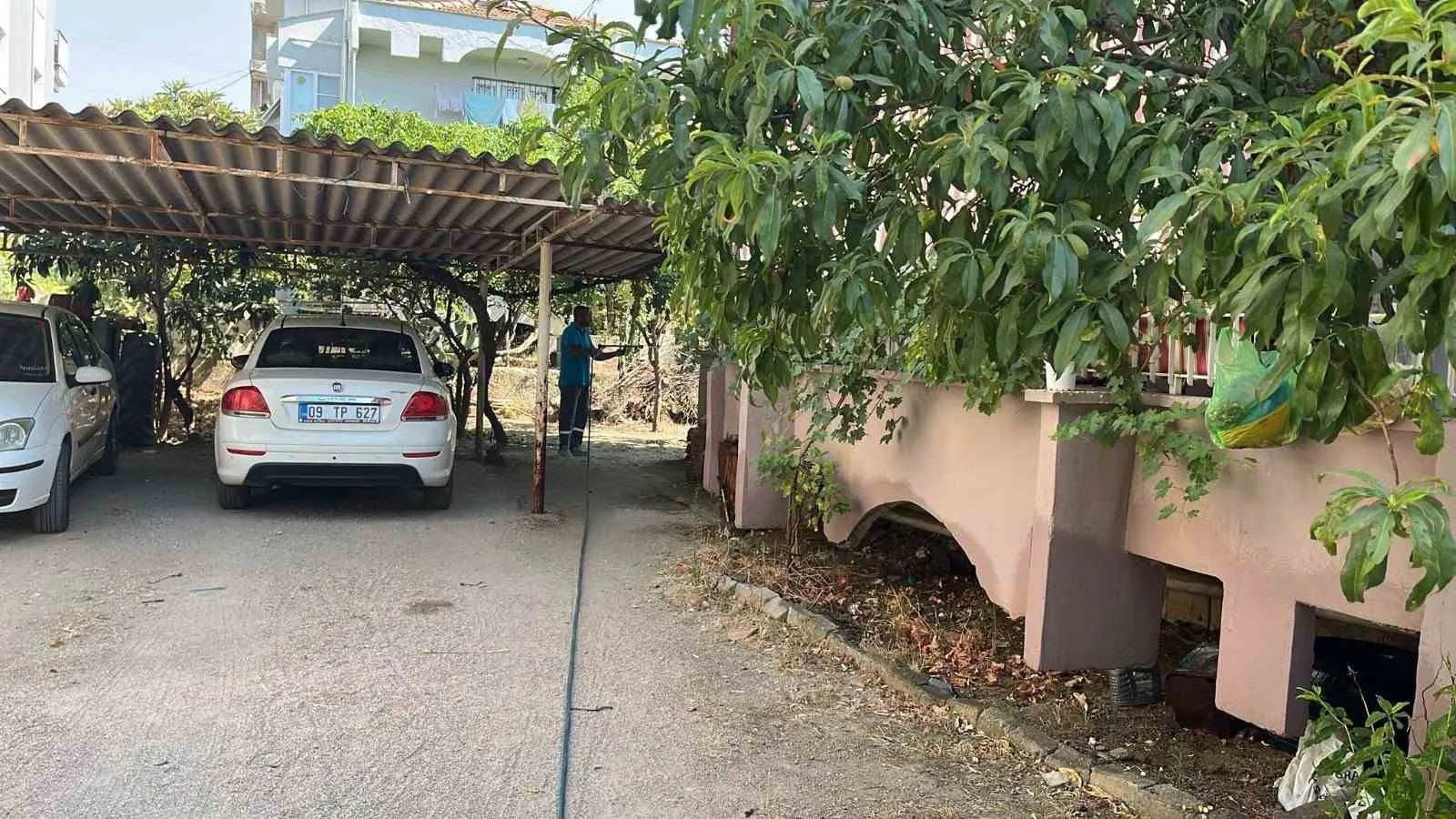 Germencik'te yaz aylarında haşere mesaisi: Ekipler sahada