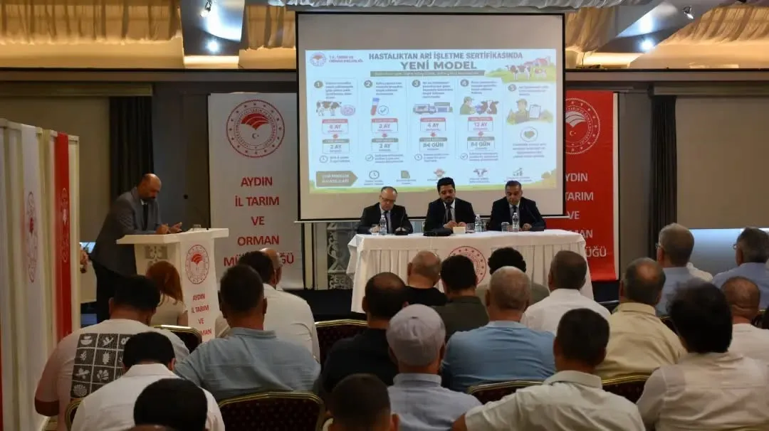 Aydın hayvancılığında büyük dönüşüm: Hastalıktan ari işletmeler 86'ya ulaştı