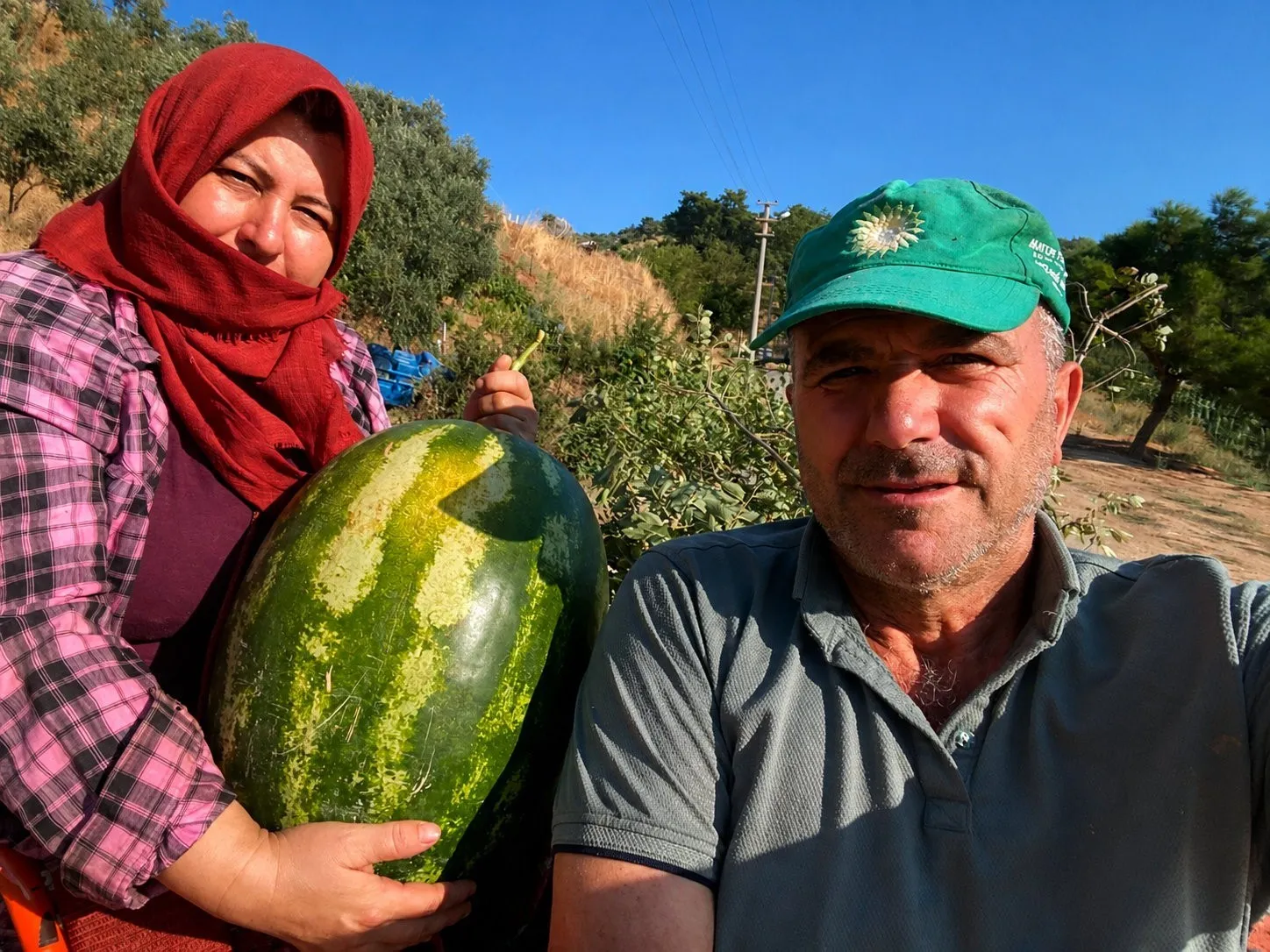 Germencik’in zirvesinde bereketli hasat: İncirin gölgesinde devasa mahsuller