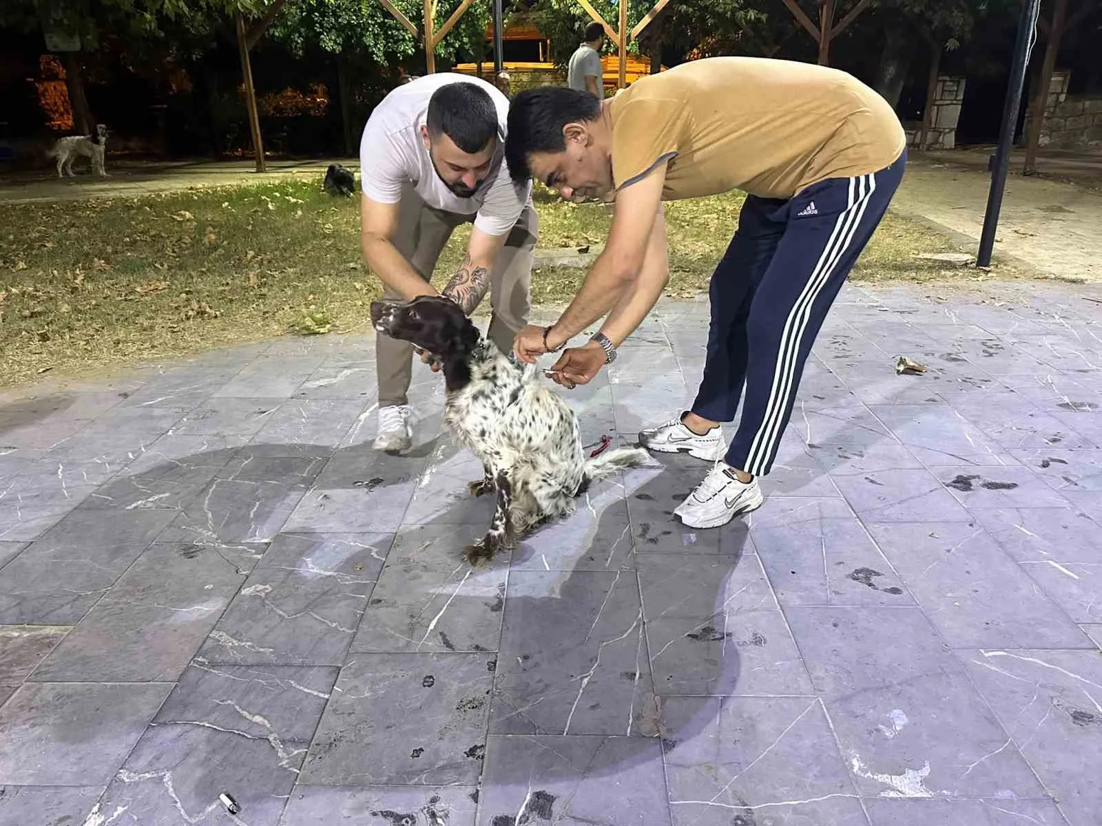 Sarıgöl'de avcılar harekete geçti: Dostlarımıza kuduz kalkanı